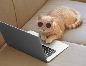 別只看食物,背後的訊號才關鍵!