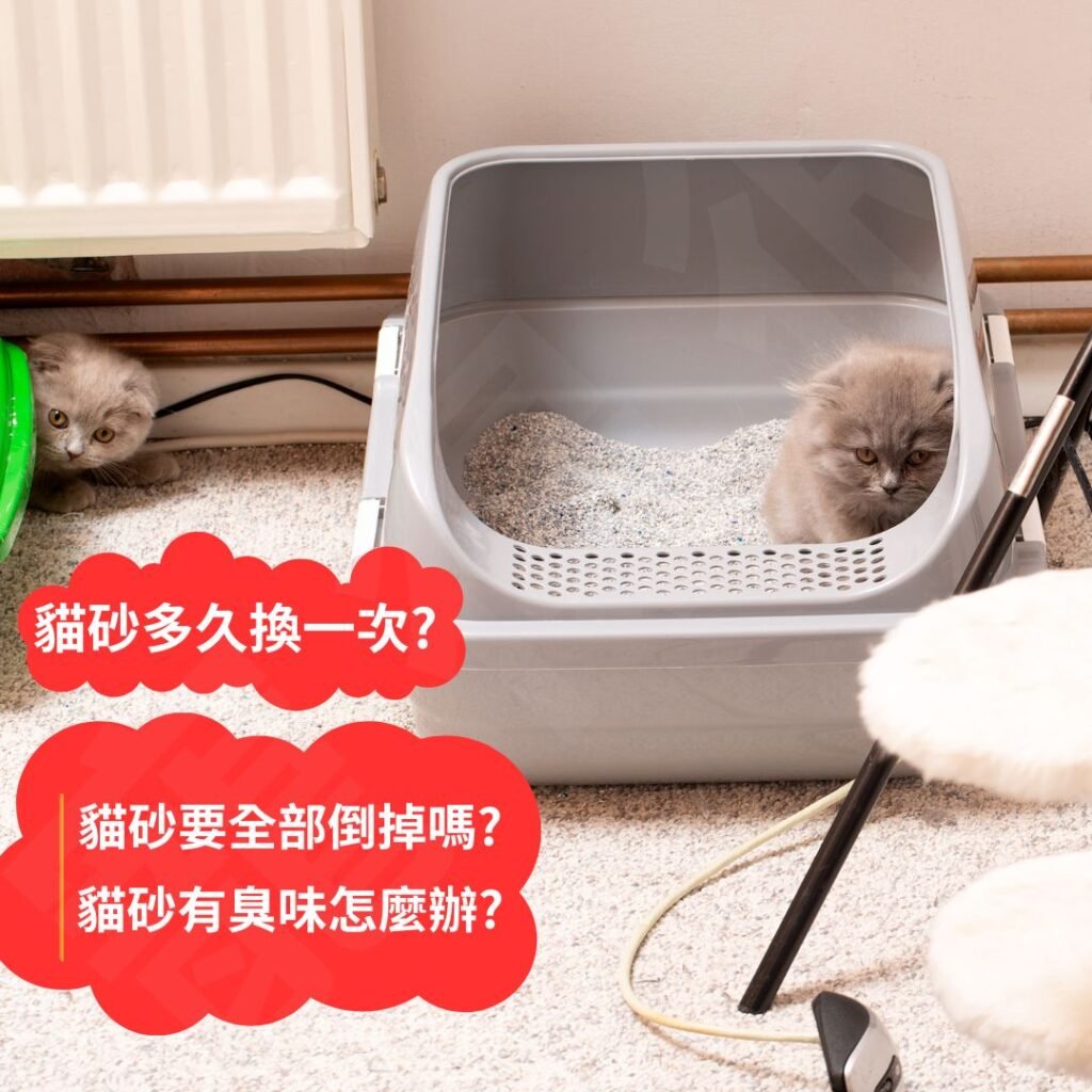 還需要整盆貓砂倒掉換新嗎? 答案是:需要,而且不能太久才做一次。