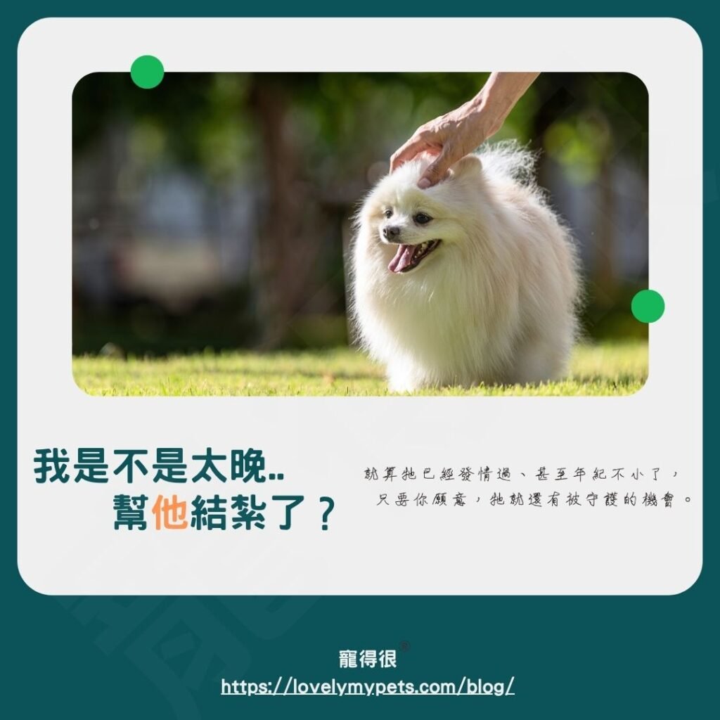 幫牠結紮,真的有必要嗎?