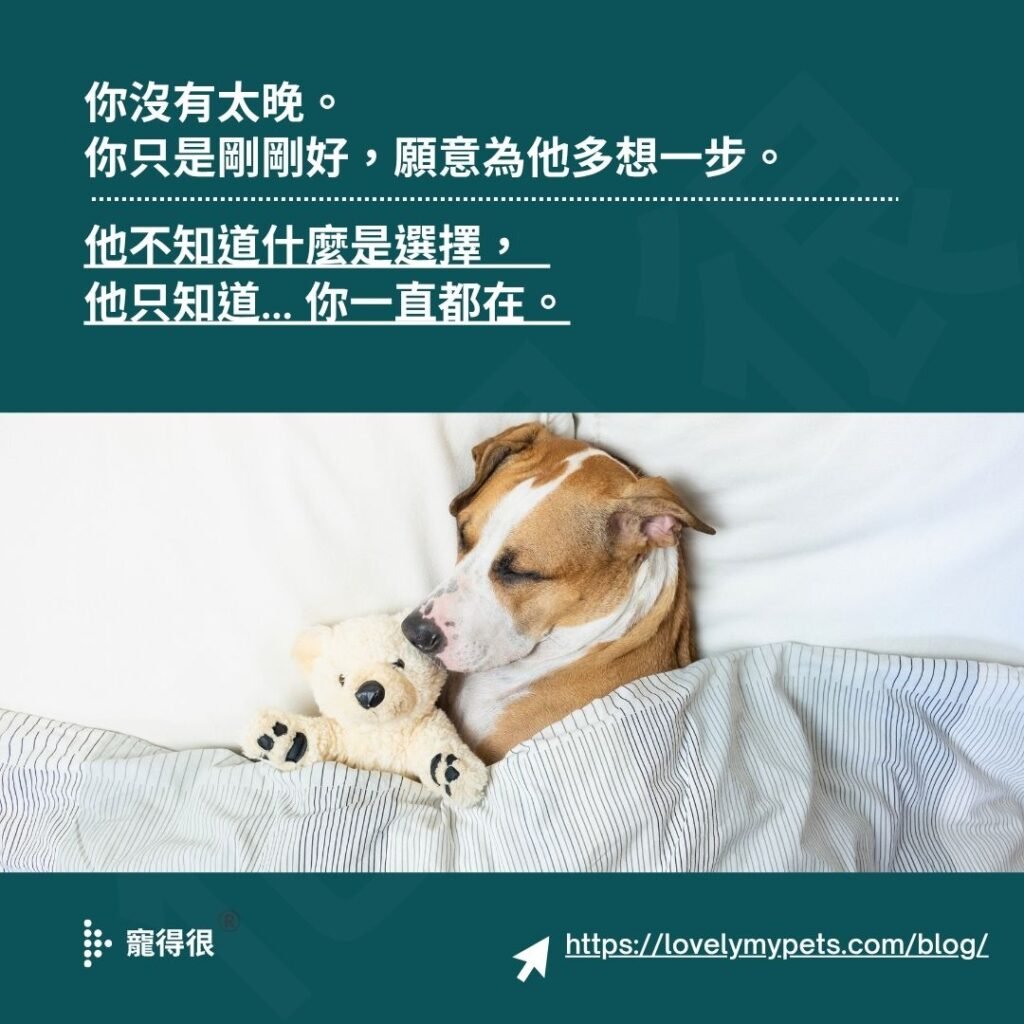 我做了這個決定,會不會改變牠的快樂?